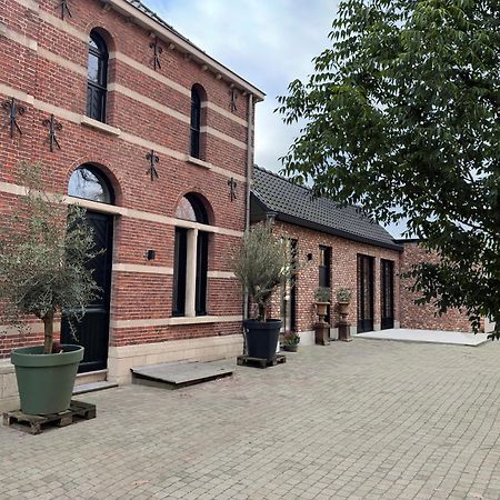De Wilden Ezel Bed and Breakfast Mol Buitenkant foto