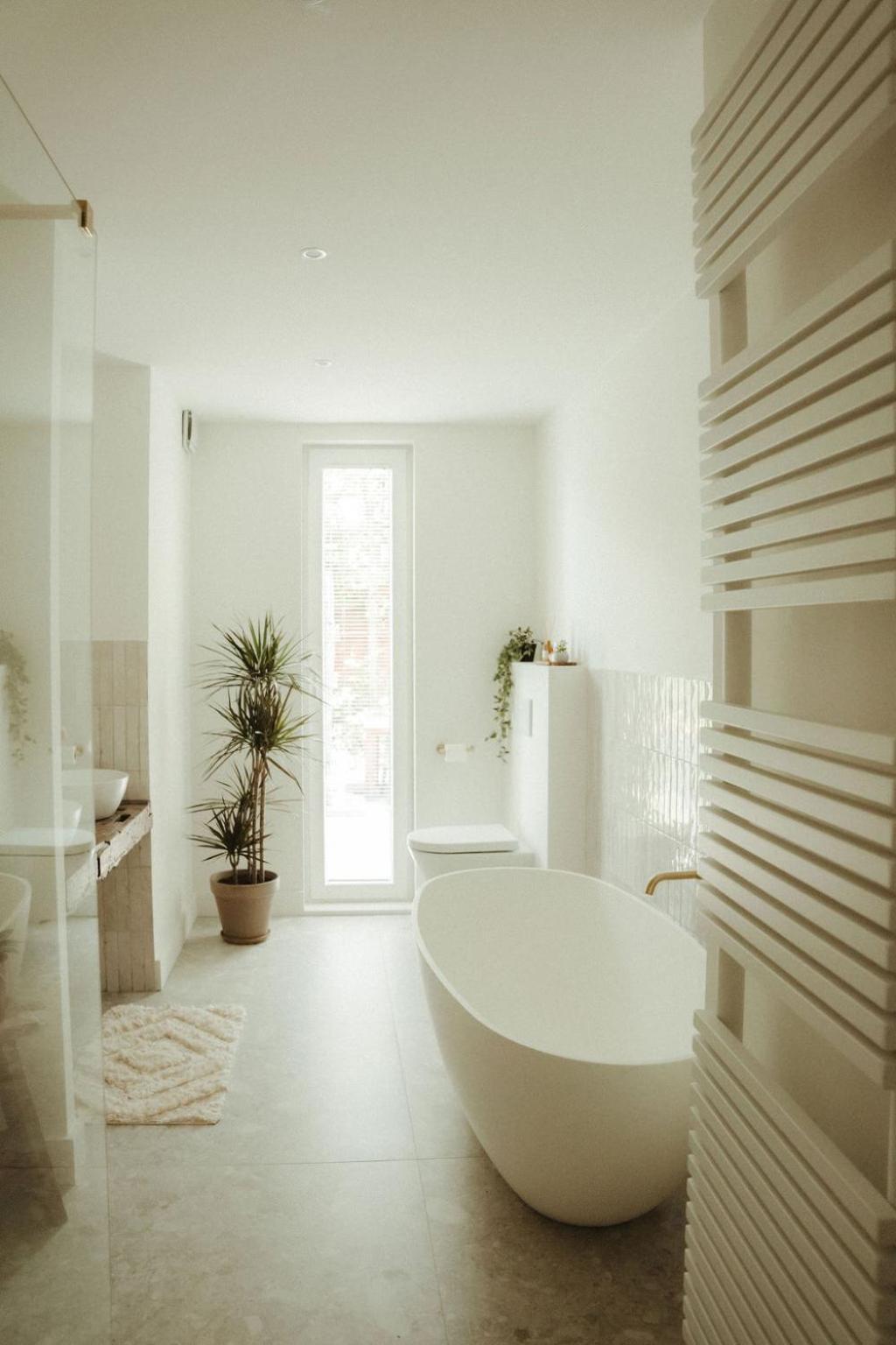 De Wilden Ezel Bed and Breakfast Mol Buitenkant foto