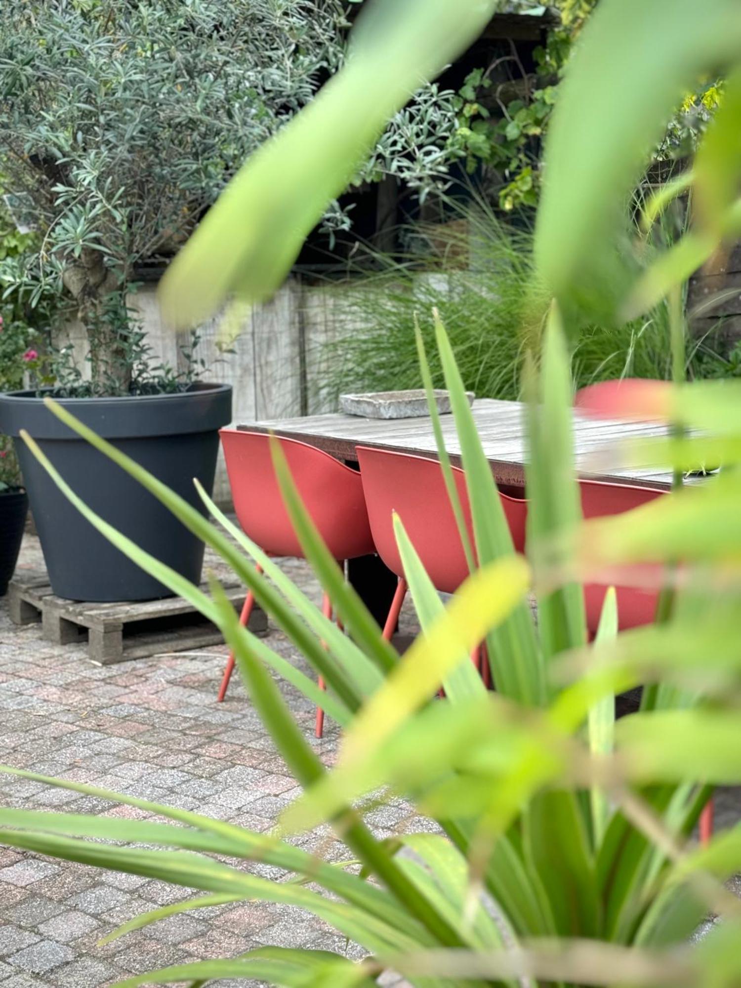 De Wilden Ezel Bed and Breakfast Mol Buitenkant foto