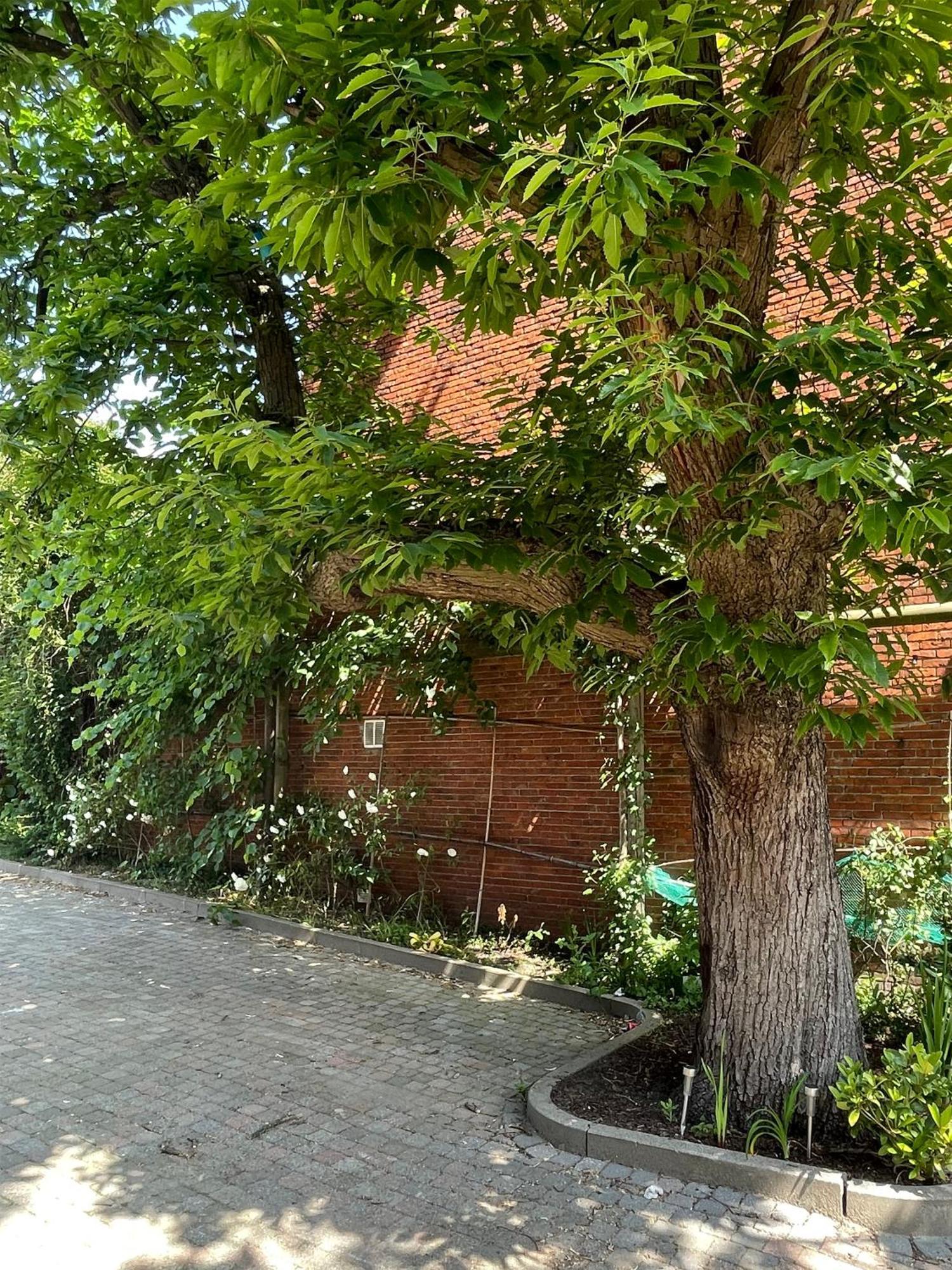 De Wilden Ezel Bed and Breakfast Mol Buitenkant foto